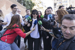 Rivas pide que "acabe este circo" tras declarar por sustracci&oacute;n: "No me voy a rendir por mi hijo"