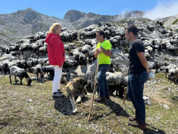 Rural convoca ayudas para la conservaci&oacute;n y promoci&oacute;n de las razas c&aacute;ntabras de ganado ovino y caprino