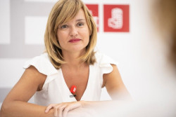  S&aacute;nchez culpa de las consecuencias del decreto energ&eacute;tico a la Uni&oacute;n Europea
