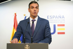 Sánchez debe convocar elecciones cuanto antes.  Carlos Magdalena