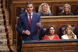 S&aacute;nchez fortalecer&aacute; el autogobierno vasco en sanidad para que le sigan votando