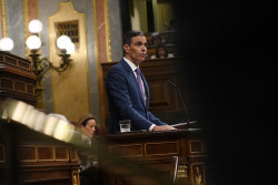 S&aacute;nchez llama a sus socios  desinformadores.