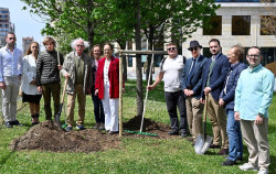 Santander celebra el Día de Europa con la plantación de un roble junto a los Jardines de Pereda