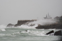 Santander cierra hoy Los Pinares, el minizoo y el bosque de La Magdalena ante la previsión de galerna