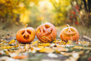 Santander requiere a Casares para que despeje la zona de la Porticada en la que se ubicar&aacute; Halloween