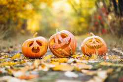 Santander requiere a Casares para que despeje la zona de la Porticada en la que se ubicar&aacute; Halloween