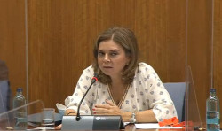 Saqueadores de Andalucía. Por Jesús Salamanca Alonso