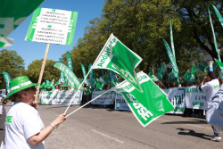SATSE insta a Sanidad y a CCAA a cumplir con el Plan de Acción de Salud Mental 2025-2027