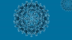 Semanalmente mueren en España hasta cuatro personas por causas relacionadas con la hepatitis C