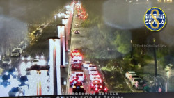 Sevilla activa la fase de preemergencias y corta m&aacute;s de una decena de calles por ca&iacute;da de &aacute;rboles