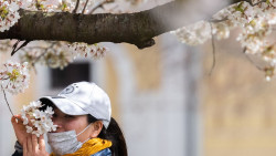 Si se tiene una disminuci&oacute;n del sentido del olfato con Covid-19, se conoce que est&aacute;n dentro de la primera semana de la enfermedad