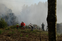 Sigue activo el incendio de Ver&iacute;n, con 600 hect&aacute;reas quemadas.