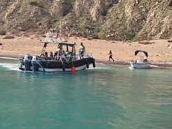 Siguen llegando miles de inmigrantes ilegales a Espa&ntilde;a con fronteras abiertas 