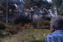 Siguen sin control los fuegos de Ponteceso y Camari&ntilde;as que obligaron a desalojos: arrasan m&aacute;s de 100 hect&aacute;reas