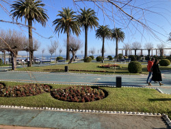 S.O.S desde los jardines de Piquío, por Carlos Magdalena