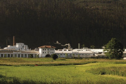 Textil Santanderina recibe más de 600.000 euros del CDTI para un proyecto innovador de reciclaje textil