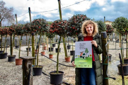 Torrelavega abre mañana el plazo para participar en la campaña del árbol