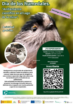 Torrelavega celebra hoy el Día de los Humedales con un anillamiento de aves en el Lago de la Mina