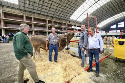 Torrelavega celebra la VII Feria Agroganadera de Razas C&aacute;rnicas