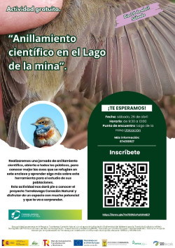 `Torrelavega Conexión Natural` organiza una jornada de anillamiento de aves en el Lago de la Mina