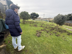Torrelavega exige al Gobierno una actuaci&oacute;n urgente ante la proliferaci&oacute;n de jabal&iacute;es en Torres, Du&aacute;lez y Caser&iacute;os