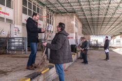 Torrelavega inicia el reparto de los 3.576 árboles solicitados, que se completará el lunes