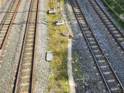 Transportes adjudica por 15,25 millones la redacción del proyecto de trazado de la línea de AV Alar del Rey-Reinosa