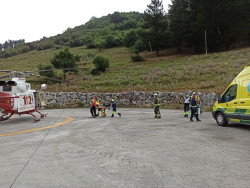 Trasladan al "Seve" y despu&eacute;s a Valdecilla en ambulancia a una anciana de Li&eacute;bana con una reacci&oacute;n al&eacute;rgica grave tras picarle una abeja