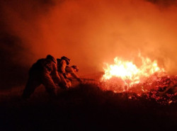 Tres incendios forestales siguen activos en Cillorigo de Li&eacute;bana de los 8 provocados en las &uacute;ltimas horas en Cantabria
