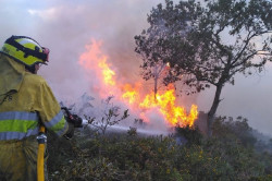 T&Uacute; denuncia que los Bomberos Forestales de Cantabria est&aacute;n "desprotegidos" ante el fuego