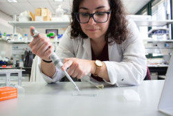 Un estudio revela como las bacterias se mueven y "logran colonizar suelos agr&iacute;colas y organismos vivos"