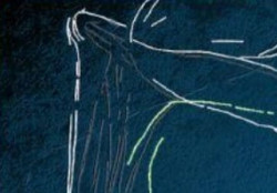 Un estudio revela nuevas figuras y grabados hallados en Altamira