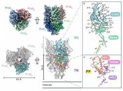 Un nuevo avance en retrovirus endógenos humanos puede abrir la puerta a nuevos tratamientos contra el cáncer