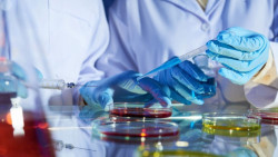 Un nuevo mapa proporciona una ventaja sobre c&oacute;mo destruir las enzimas relacionadas con el c&aacute;ncer