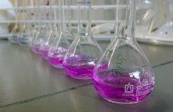 Un proyecto de investigaci&oacute;n contra el c&aacute;ncer del IBBTEC, entre los ganadores de las XXI Becas Fero