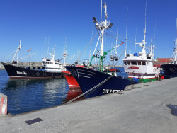 Un total de 183 barcos de palangre de superficie podr&aacute;n pescar especies altamente migratorias