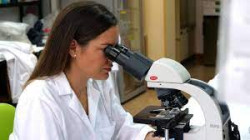 Una investigadora espa&ntilde;ola identifica una nueva diana terap&eacute;utica que podr&iacute;a frenar el Alzheimer