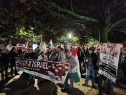 Unas  300 personas colapsán  el Centro de la ciudad  bajo el lema `Paremos la guerra en Palestina"