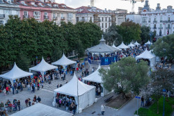Unos 300 científicos de la UC muestran hoy sus investigaciones en la plaza Pombo