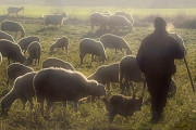 Unos 5.800 agricultores y ganaderos c&aacute;ntabros que tributan por el sistema de m&oacute;dulos tendr&aacute;n reducciones en el IRPF