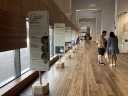 Valdecilla expone una muestra de Santander Capital Natural sobre el papel de la naturaleza para la salud