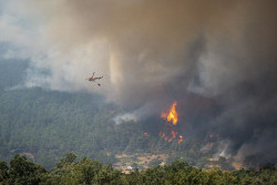 Varios fuegos activos arrasan decenas de miles de hect&aacute;reas en Espa&ntilde;a: Los de la C.Madrid y &Aacute;vila, los que m&aacute;s preocupan