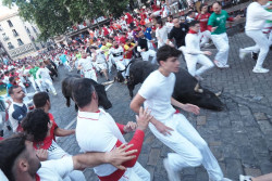 Veloz y peligroso encierro de los toros de La Palmosilla, con tres heridos por asta