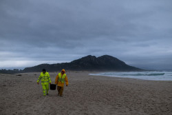 Vientos del sur y corrientes empujar&aacute;n los p&eacute;lets hacia el Cant&aacute;brico desde este domingo
