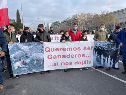Vox alerta de la desaparici&oacute;n del ganadero monta&ntilde;&eacute;s ante las pol&iacute;ticas que "perjudican al sector primario"