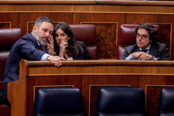 Vox defender&aacute; hoy en el Congreso frenar la ley sobre `lobbies` por no incluir a partidos, sindicatos ni patronales