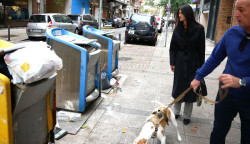 Vox denuncia la "inoperancia" de la alcaldesa Gema Igual ante el "problema" de limpieza en Santander