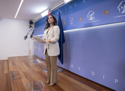 Vox pide al Constitucional la suspensi&oacute;n cautelar del Pleno extraordinario del Congreso para debatir la amnist&iacute;a