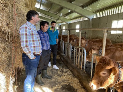 Vox rechaza la PAC que propone el Ministerio porque "condena" a ganaderos y agricultores monta&ntilde;eses a su "desaparici&oacute;n"