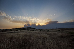 Vox rechaza que la causa de los incendios sea el cambio clim&aacute;tico y los atribuye a la "ideolog&iacute;a" y la "incompetencia"
